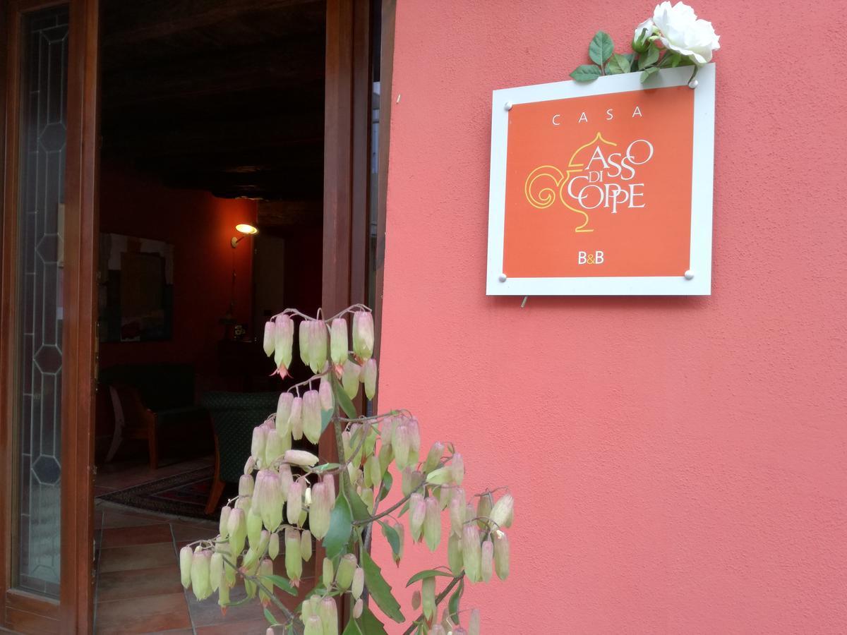 Casa Asso Di Coppe B&B Alba  Buitenkant foto
