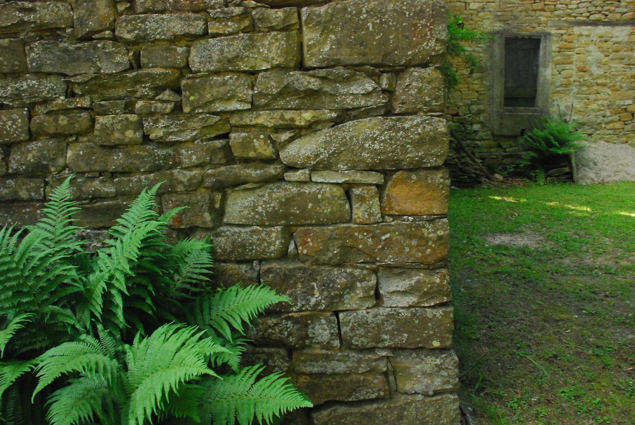 Casa Asso Di Coppe B&B Alba  Buitenkant foto